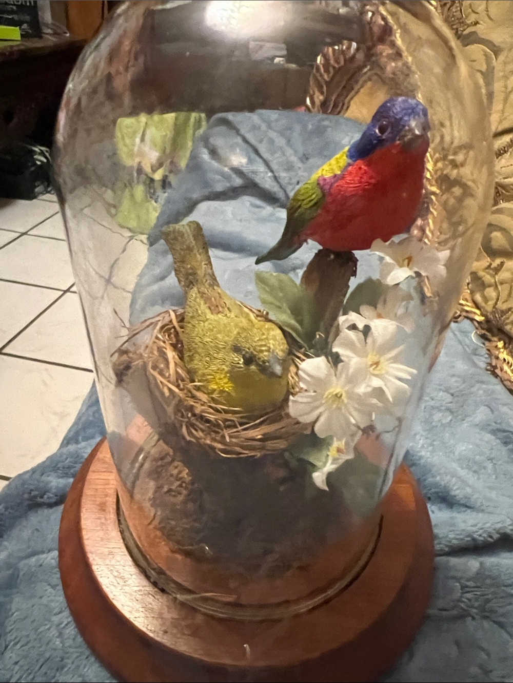 Source Unknown Yellow & Multi-Color Glass Dome Bird Display